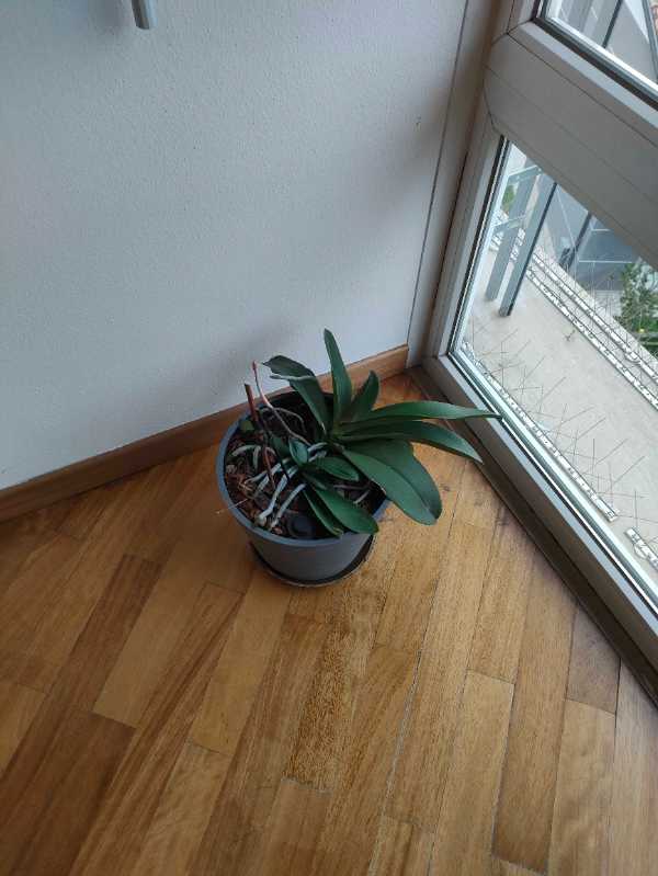 Immagine della mappa di dove si trova il disservizio